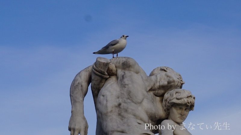 銅像の肩に乗り、上から眺めている鳥