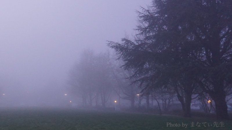 濃い霧のかかる幻想的な風景